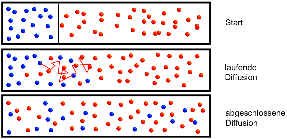 Modellhafte Darstellung der Durchmischung zweier Stoffe durch Diffusion