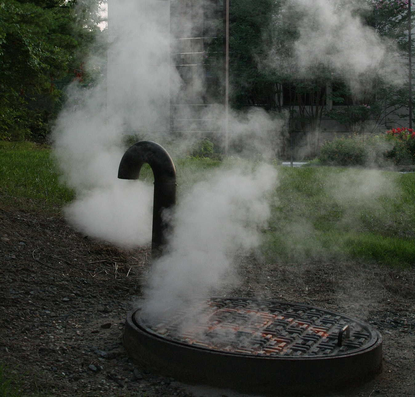 "Wasserdampf" in der Alltagssprache: Nebel, der nach Kondensation des gasförmigen Wassers entsteht.