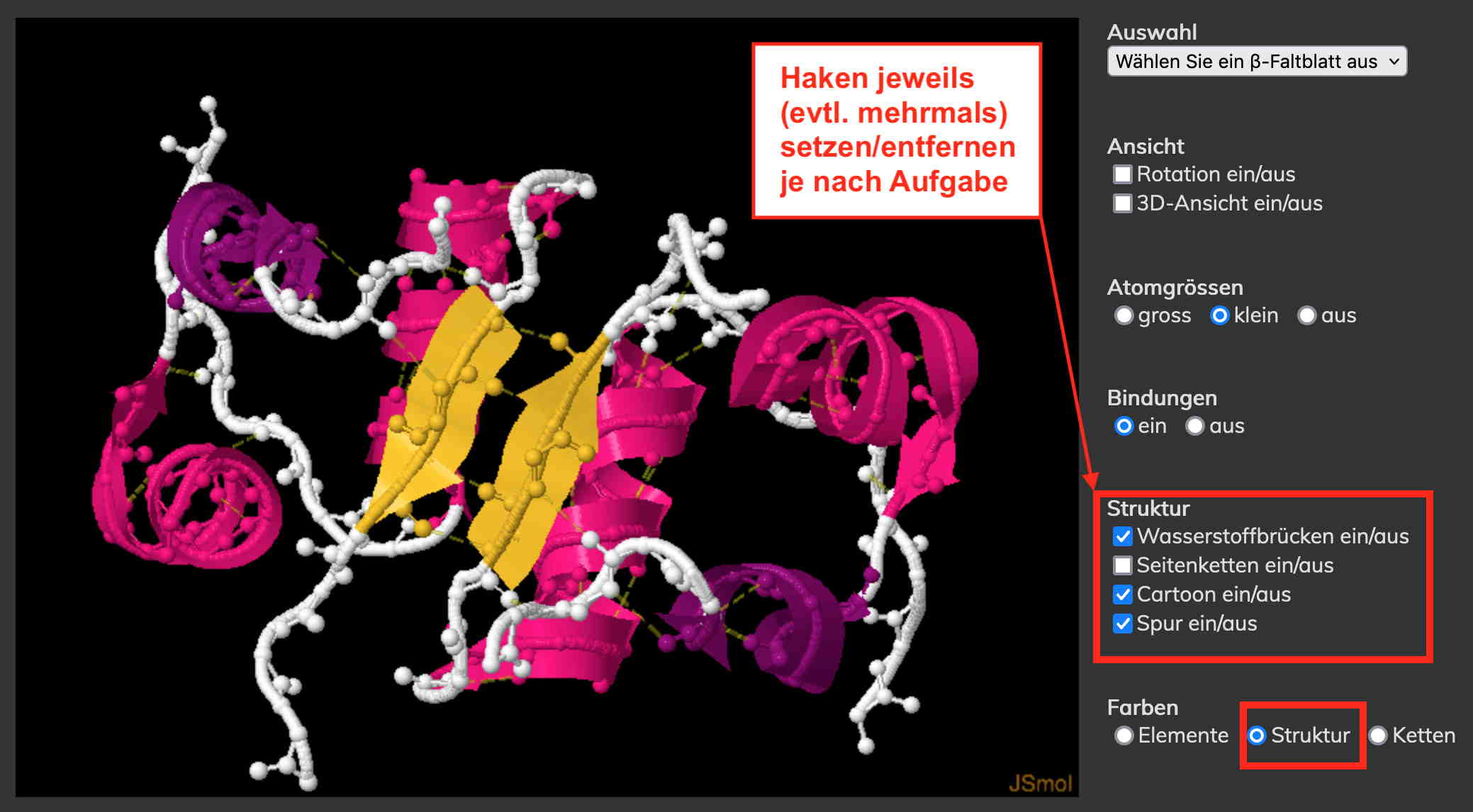 Benutzeroberfläche für die interaktive Animation zur Darstellung von einem β-Faltblatt und die dafür verantwortlichen H-Brücken bei einer Untereinheit des Proteins Hämoglobin (Octan)