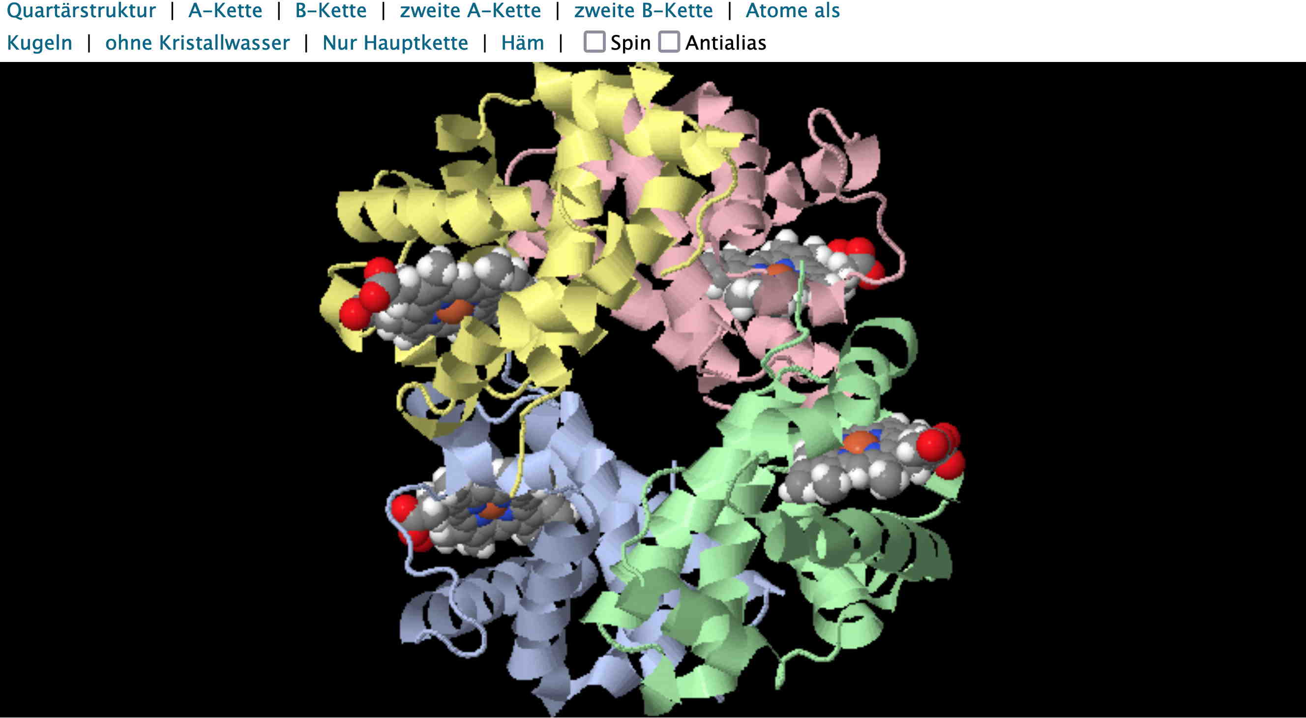 Benutzeroberfläche für die interaktive Animation zur Darstellung der vier Untereinheiten (Tertiärstrukturen), welche zusammen die Quartärstruktur, also das ganze Protein Hämoglobin bilden (swisseduc)